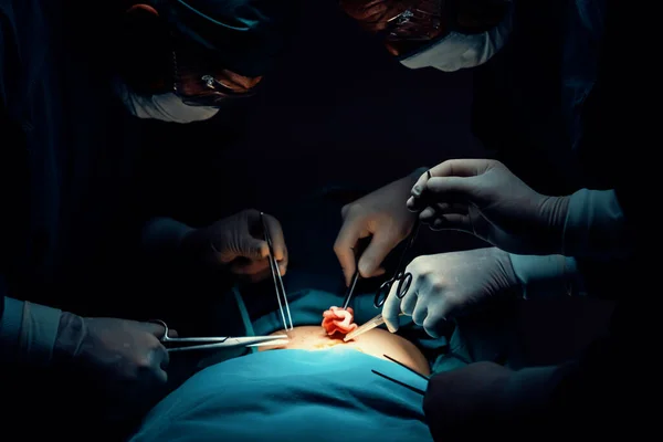 수술실에서 환자에게 수술을 있습니다 램프를 수술실에서 전문적 자신있는 의식인 환자에게 — 스톡 사진
