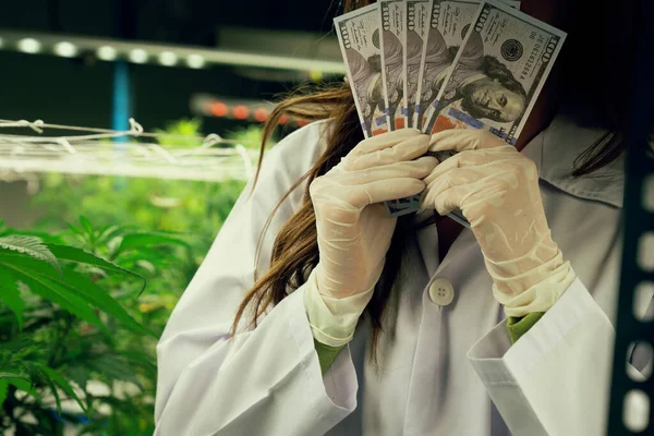 Femeie Știință Care Deține Bancnote Dolari După Mulțumit Profiturile Din — Fotografie, imagine de stoc