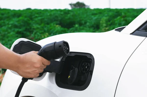 Progressive Natural Scenic Hand Insert Charging Plug Electric Vehicle Charging — Stockfoto