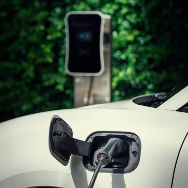 Side view of progressive electric vehicle parking next to public charging station with greenery, natural foliage background as concept for renewable and clean energy for eco-friendly car.