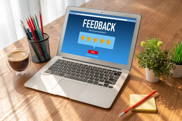 Customer Feedback Review Analysis Modish Computer Software Corporate Business — Stock Photo, Image