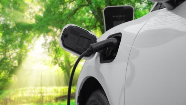 逐步提高绿色森林充电站可再生能源和清洁能源驱动电动汽车的环保意识 未来汽车的电动车 — 图库视频影像