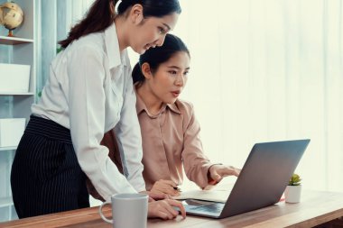 Modern ofis çalışma alanında iş birliği yapan iki genç ofis çalışanı, modern ofis çalışanı olarak profesyonelliklerini sergileyerek, dizüstü bilgisayarda tartışıyorlar ve birlikte çalışıyorlar. Coşkulu.