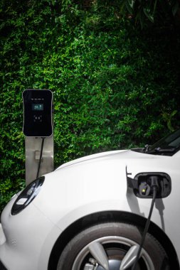 Side view of progressive electric vehicle parking next to public charging station with greenery, natural foliage background as concept for renewable and clean energy for eco-friendly car.