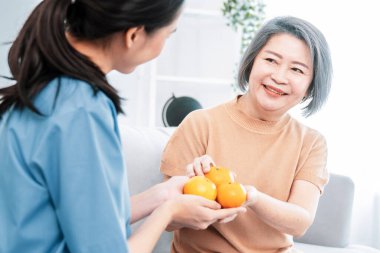 A young caregiver handing oranges to her contented senior patient at the living room. Senior care services, home visit by medical.