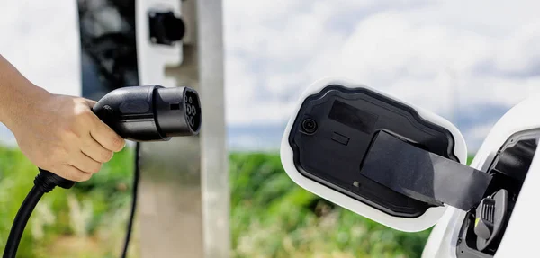 Progressive Natural Scenic Hand Insert Charging Plug Electric Vehicle Charging — 스톡 사진