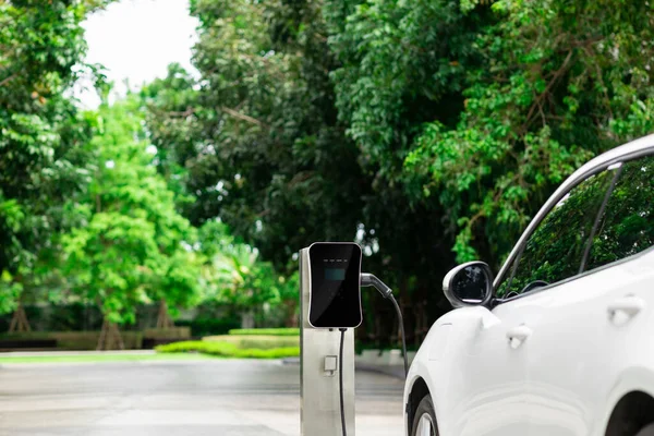 Focus Closeup Electric Vehicle Plugged Charger Device Blurred Background Public — Stockfoto