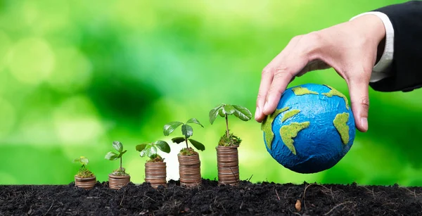Negócios Corporativos Investem Subsídios Ambientais Com Mudas Crescendo Pilha Moedas — Fotografia de Stock