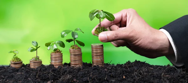 公司企业投资于环境补贴 在钱币堆上手工种植幼苗 以提高人们的自然意识 用于环境保护和清洁能源的生态补贴增长投资 改变了 — 图库照片