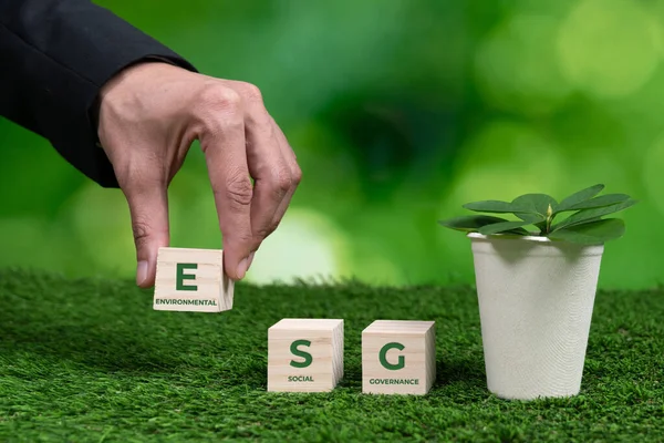 Üzletember Kezében Növénycserép Esg Kocka Szimbólummal Erdőregeneráció Természetes Tudatosság Etikus — Stock Fotó