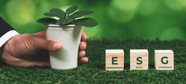 Empresário Segurando Vaso Planta Com Símbolo Cubo Esg Regeneração Florestal — Fotografia de Stock