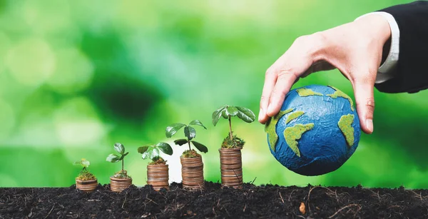 Корпоративний Бізнес Інвестує Екологічні Субсидії Розсадою Росте Монетному Стосі Здобуття — стокове фото