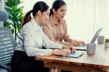 Modern ofis çalışma alanında iş birliği yapan iki genç ofis çalışanı, modern ofis çalışanı olarak profesyonelliklerini sergileyerek, dizüstü bilgisayarda tartışıyorlar ve birlikte çalışıyorlar. Coşkulu.