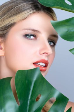 Closeup woman with perfect clean skin and alluring flawless natural soft facial makeup holding green leave monstera. Natural skincare treatment beauty or spa concept in isolated background.