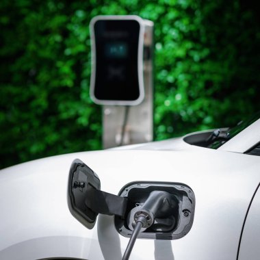Side view of progressive electric vehicle parking next to public charging station with greenery, natural foliage background as concept for renewable and clean energy for eco-friendly car.