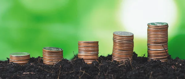 Gestapelte Münzen Die Auf Dem Boden Wachsen Stellen Nachhaltige Finanzinvestitionen — Stockfoto