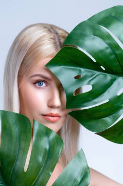 Closeup facial portrait personable woman with perfect smooth makeup holding green monstera leaves and cover her face as natural healthy skincare treatment. Tropical nature and beauty concept