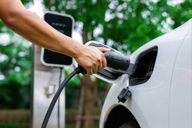 Açık hava yeşilliğinin bulanık arka planıyla odak noktasında elektrikli araca EV şarj prizi yerleştiriliyor. Yenilikçi sürdürülebilir enerji şarj istasyonu şarj edilebilir.