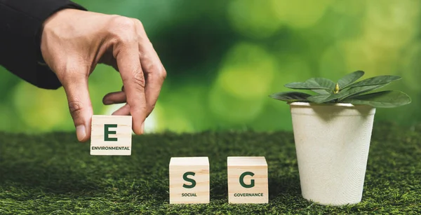 Businessman holding plant pot with ESG cube symbol. Forest regeneration and natural awareness. Ethical green business with eco-friendly policy utilizing renewable energy to preserve ecology. Alter