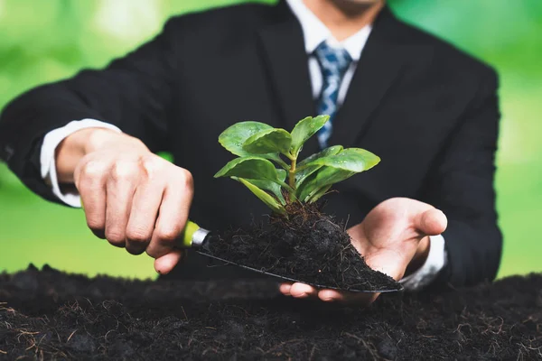 Affärsman Odlar Unga Plantor Bördig Jord Med Spade För Ekologisk — Stockfoto