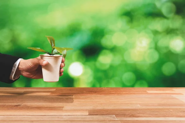Affärsman Håller Växtkruka Med Handen Främja Skoglig Förnyelse Och Naturlig — Stockfoto