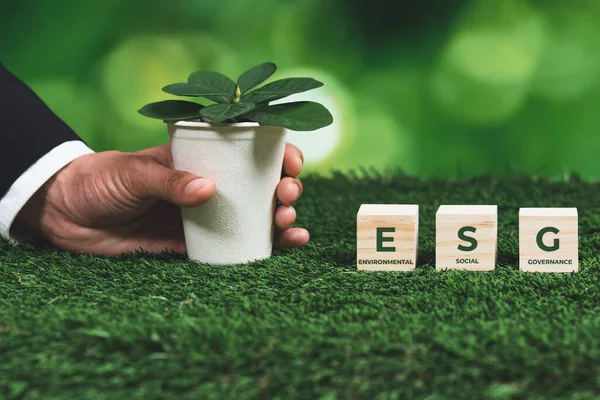 Empresário Segurando Vaso Planta Com Símbolo Cubo Esg Regeneração Florestal — Fotografia de Stock