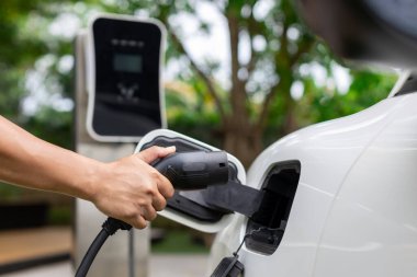 Açık hava yeşilliğinin bulanık arka planıyla odak noktasında elektrikli araca EV şarj prizi yerleştiriliyor. Yenilikçi sürdürülebilir enerji şarj istasyonu şarj edilebilir.
