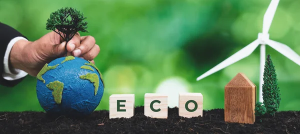 商人用Eco立方体符号在肥沃的土地上在纸上种植树 利用风力涡轮机和清洁能源更新森林和提高对绿色环境的自然意识 改变了 — 图库照片