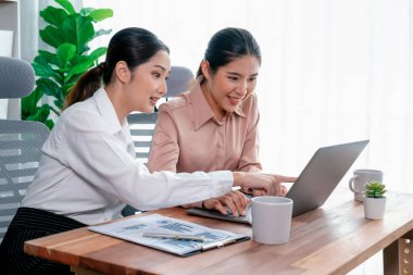 Modern ofis çalışma alanında iş birliği yapan iki genç ofis çalışanı, modern ofis çalışanı olarak profesyonelliklerini sergileyerek, dizüstü bilgisayarda tartışıyorlar ve birlikte çalışıyorlar. Coşkulu.