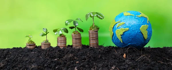 Eco business investment or environment conservation subsidize concept with paper earth and coin stack with seedling growing on top. Sustainable financial growth of environmental awareness. Alter