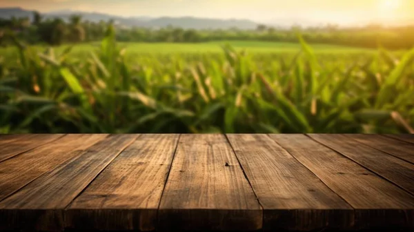 空白的木制桌子顶部 背景模糊 甘蔗种植园 令人振奋的图像 — 图库照片