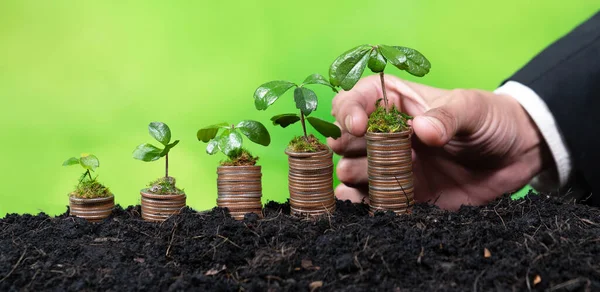 Negócios Corporativos Investem Subsídios Ambientais Com Mudas Mão Crescer Pilha — Fotografia de Stock