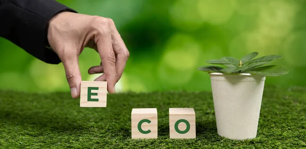 商人拿着带有Eco立方体符号的花盆 森林再生和自然意识 具有环保政策的符合道德的绿色企业利用可再生能源保护生态 改变了 — 图库照片