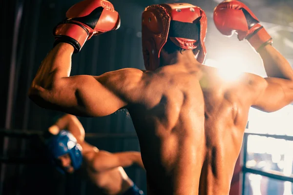 Boxeador Intimidación Con Victoria Ganador Posando Después Ganar Combate Boxeo —  Fotos de Stock
