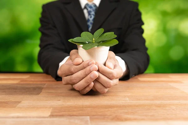 Businessman holding plant pot with his hand promoting forest regeneration and natural awareness. Ethical green business with eco-friendly policy utilizing renewable energy to preserve ecology. Alter