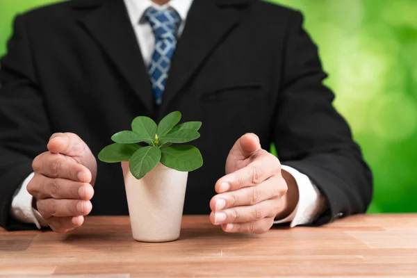 Businessman holding plant pot with his hand promoting forest regeneration and natural awareness. Ethical green business with eco-friendly policy utilizing renewable energy to preserve ecology. Alter