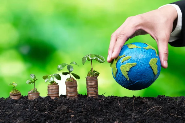 Företagsverksamhet Investerar Miljösubventioner Med Plantor Växer Mynt Stack För Naturlig — Stockfoto