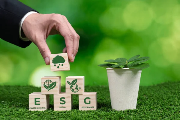 Üzletember Kezében Növénycserép Esg Kocka Szimbólummal Erdőregeneráció Természetes Tudatosság Etikus — Stock Fotó