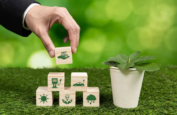 stock image Businessman holding plant pot with Net zero cube symbol. Forest regeneration and reducing CO2 emission for natural awareness. Ethical green business with eco-friendly policy grow forest concept. Alter