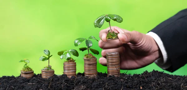 Negócios Corporativos Investem Subsídios Ambientais Com Mudas Mão Crescer Pilha — Fotografia de Stock