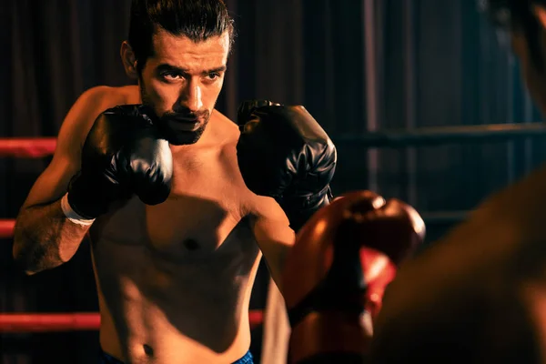 Dos Boxeadores Deportivos Musculosos Enfrentan Feroz Combate Boxeo Luchador Boxeo —  Fotos de Stock
