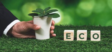 İş adamı elinde ECO küp sembollü saksı tutuyor. Orman yenilenmesi ve doğal farkındalık. Çevre dostu politikayla birlikte, ekolojiyi korumak için yenilenebilir enerji kullanan etik yeşil iş. Değiştir