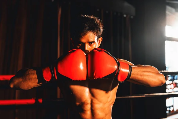 Muay Thai Boxer Soco Peixe Sua Mão Juntos Frente Câmera — Fotografia de Stock