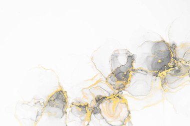 Marble ink abstract art from meticulous original painting abstract background . Painting was painted on high quality paper texture to create smooth marble background pattern of ombre alcohol ink .