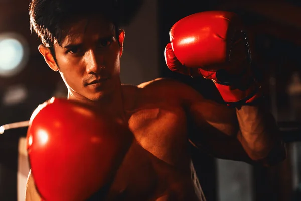 Muay Thai Boxer Schlägt Seine Faust Vor Der Kamera Kampfbereiter — Stockfoto