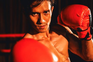 Muay Thai boksörü arka planda boks ekipmanıyla spor salonunda poz vermek için kameranın önünde yumruğunu yumrukladı. Kararlı gözler ve meydan okumaya hazır olun. Impetus