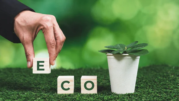 Geschäftsmann Mit Pflanzgefäß Mit Eco Würfel Symbol Waldverjüngung Und Naturbewusstsein — Stockfoto