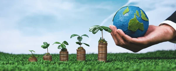 Företagsverksamhet Investerar Miljösubventioner Med Plantor Växer Mynt Stack För Naturlig — Stockfoto