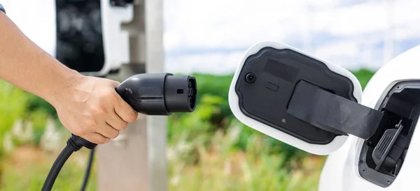 Progressive Natural Scenic Hand Insert Charging Plug Electric Vehicle Charging — Fotografia de Stock
