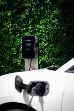 Side view of progressive electric vehicle parking next to public charging station with greenery, natural foliage background as concept for renewable and clean energy for eco-friendly car.